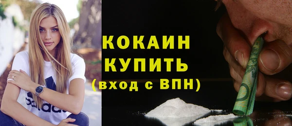 ALPHA PVP Ельня