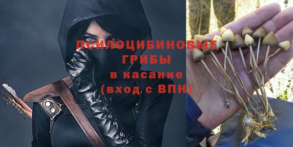 ALPHA PVP Ельня