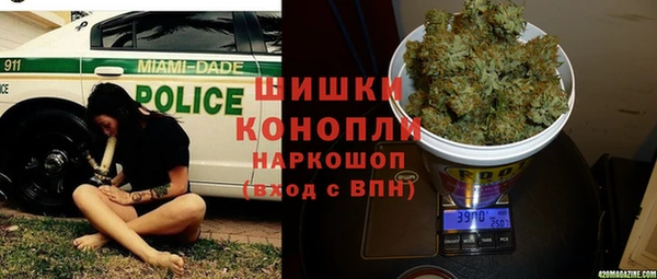 ALPHA PVP Ельня