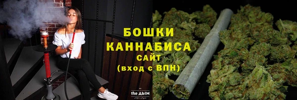 ALPHA PVP Ельня