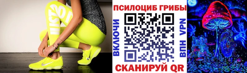 Галлюциногенные грибы Psilocybine cubensis  Купить  Пролетарск 